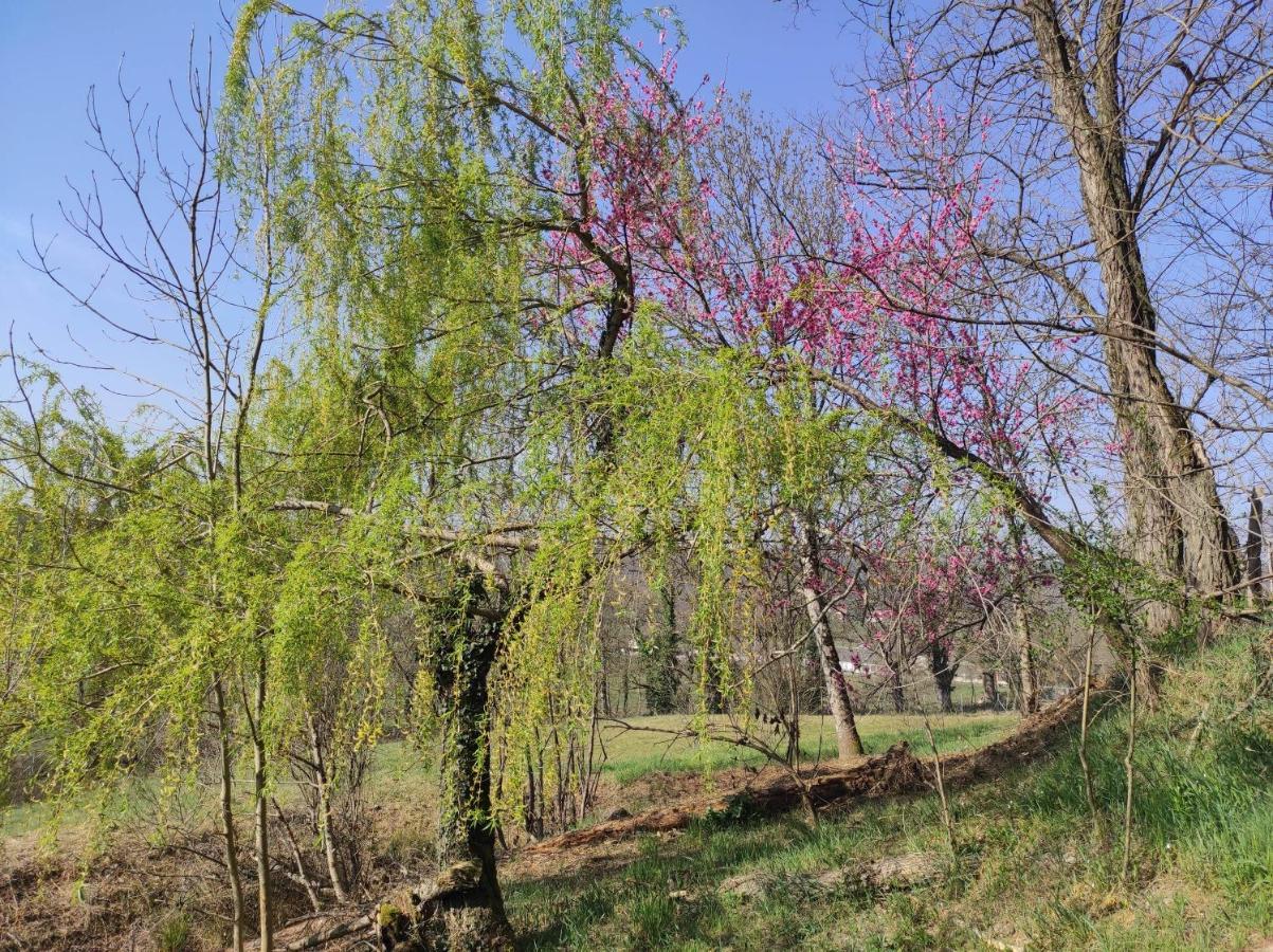 L'Oree Des Bois Courpiere Exterior foto
